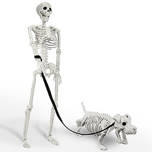 Lighted Human & Dog Skeleton Halloween Decorations Outdoor/Indoor - 36 Inch Realistic Full Body Movable Posable Skeleton Spooky Halloween Decor