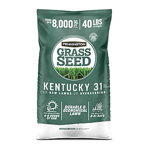 Pennington Kentucky 31 Fescue 40 LB Tall Fescue Grass Seed, Grass Seeds for Lawn $67