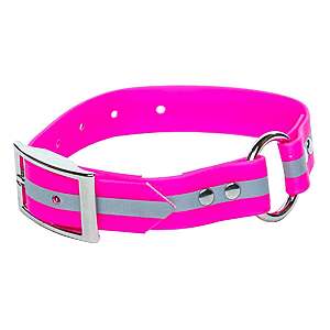 ROCT Outdoors Upland Field Dog Collar $4.77