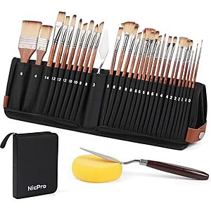 Amazon ~ Nicpro 30 pc Professional Paint Brush Set w/Holder $12.99 (50% off)