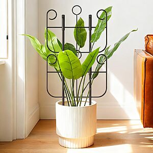 2-Pack Expandable Metal Plant Trellis $5.99 – Heavy-Duty Climbing Support for Potted Plants & Vines