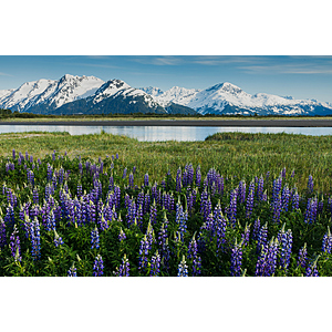 Round Trip Philadelphia - Anchorage Alaska or Vice Versa $403 Airfares on Alaska or United Airlines BE (Travel October 2026 - June 2027)
