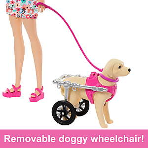 $10 FS Walmart+ Barbie Doll Pup Playset with a Toy Pup and Dog in a Wheelchair [Walmart Exclusive]