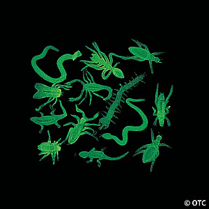 2" Bulk 144 Pc. Mini Glow-in-the-Dark Creepy Crawly Vinyl Bugs