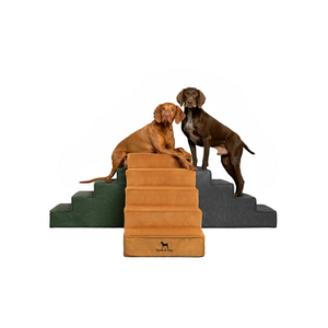 Noah & Paw Vegan Leather Pet 5 Stairs for Dogs & Cats w/ Removable Washable Cover (Camel or Green) $44.99 + Free Shipping