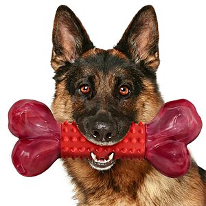 Amazon – Apasiri Beef-Flavored Dog Chew Toy - $5.99 w/ Code