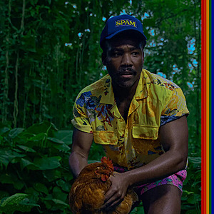 Best Buy Vinyl Sale: Childish Gambino "Bando Stone And The New World" $15; Lana Del Rey "Born to Die" $15 & Many More  + Free Shipping