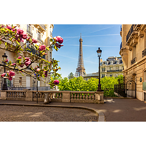 Round Trip Los Angeles to Paris France $485-$491 Airfares on SAS Scandinavian Airlines Go Light Fares (Travel November - March 2027) $484