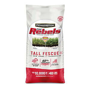 Pennington Rebels Tall Fescue Grass Seeds 40 lb