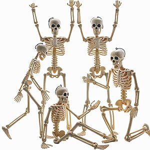 5-Count 16" Feir Posable Full-Body Halloween Skeleton Decorations w/ Movable Joints $5.99 + Free Shipping w/ Prime or on $35+
