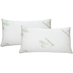 $33.99 | 2-Pack Memory Foam Bamboo From Rayon Pillows at Woot!