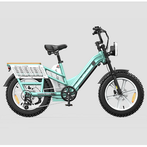 Helokeep CD20 Dual-Battery Cargo Electric Bike, 150-Mile Range $1299 Shipped