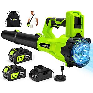 Laapee 650CFM Cordless Leaf Blower w/ 2x 20V 4.0Ah Batteries & Fast Charger $38.49 + Free Shipping