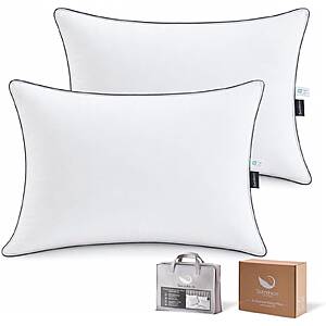 Swandream 2 Pack Goose Feather and Down King Pillows $50.99 + Free Shipping