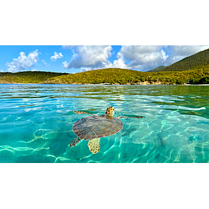 Round Trip Austin TX to St Maarten Caribbean $292 Airfares on American Airlines BE (Travel January - May 2027)