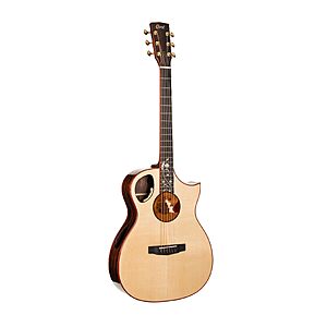 Cort Masterpiece Series Roselyn A/E Guitar With Case $1147.49