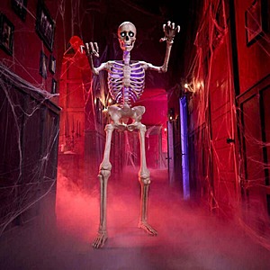 6.5 FT Grave & Bones Animated LED App Controlled Ultra Skelly with LCD LifeEyes $195
