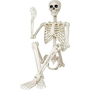 Halloween Skeleton Decorations,36" Posable Human Skeleton Decorations for Halloween Party Decor, Haunted House Props Indoor Outdoor Decoration $16.99
