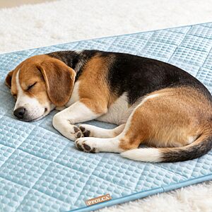 28"x71" PPOLCA Waterproof Cooling Dog Mat (Light Blue) $6.99 + Free Shipping w/ Prime or on $35+