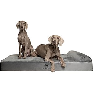 Noah & Paw 55"x45" XXL Orthopedic Cooling Gel Memory Foam Dog Bed $65.00 + Free Shipping