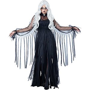 California Costumes Women's Vengeful Spirit Costume, Black, Small $14.75