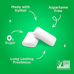 PUR Gum, Aspartame Free, Sugar Free & 100% Xylitol, Spearmint Chewing Gum, 55 Pieces, Pack of 1 $1