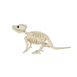 Red Shed halloween decoration skeletons as low as $2.99, free pickup, Tractor Supply Company