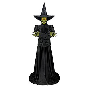 Haunted Living 6-ft Witch Motion Activated Lighted Animatronic, $74.98, FS, Lowe's