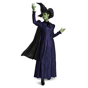 Disguise Wicked Elphaba Costume, Deluxe Official Wicked Elphaba Costume Cape and Hat for Women, Size (18-20) $33.44