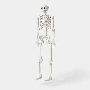 60" Hyde & EEK! Boutique Poseable Lifesize Skeleton Halloween Prop $15.00 + Free Store Pickup at Target or Free Shipping on $35+