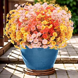 [Prime] 12-Bundle Artificial Fall Morning Glory Flowers w/ Eucalyptus Leaves for Outdoor Decor (3 color versions) $8.99 + Free Shipping