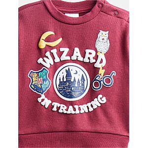 Baby Boys Fleece Sweatshirt and Pants Set, 2 Piece: Harry Potter, Hello Kitty, Minnie Mouse + more $5.5
