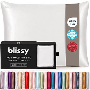 Blissy Silk Pillowcase - 100% Pure Mulberry Silk - 22 Momme 6A High-Grade Fibers - Silk Pillow Cover for Hair & Skin - Regular, Queen & King (Blissy White, Queen) $54.13