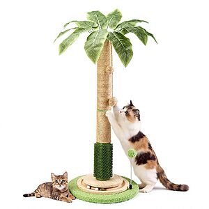40" Homagico Cat Scratching Post w/ Sisal Rope & Interactive Ball (Green) $19.99 + Free Shipping w/ Prime or on $35+