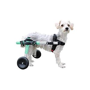 Walkin' Wheels Small Dog Wheelchair for Back Legs (Seafoam) $129.99 + Free Shipping w/ Prime or $6 Fee per Order