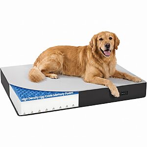 COZCIENCE Orthopedic Dog Bed for Medium Large Dogs, 3.5” Thick, Supportive Memory Foam $14.88