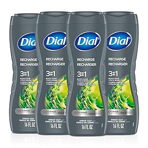 [SnS] $15.20 | 4-Pack 16-Oz Dial Men 3-in-1 Body, Hair & Face Wash (Recharge / Cedar Leaf Scent) at Amazon ($3.80 each)