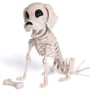 Joyfy 9.8 Inch Halloween Skeleton Dog Skeleton $18