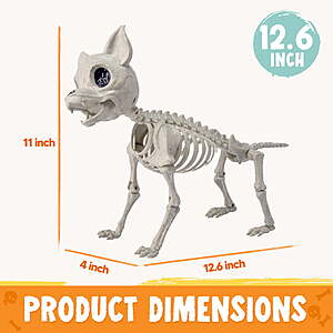 Joyfy 12.6 Halloween Plastic Chihuahua Dog Skeleton with Posable Joints $14