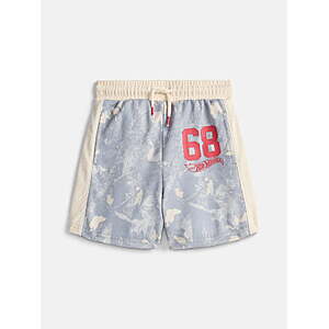 Hot Wheels Toddler Boys Mesh Graphic Shorts(Sizes 12M-5T) $3.81 + Free S&H w/ Walmart+ or $35+