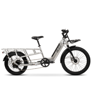 Buzz Beekeeper Cargo Bike - $500 shipped