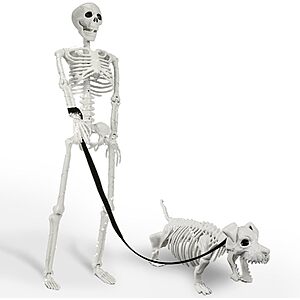 Amazon – Lighted Human & Dog Skeleton Halloween Decor - $25.19 w/ Code