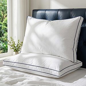 2-Pack zibroges Goose Down Gusset Pillow w/ Inner Aerogelfil Layer (Queen) $29.23 + Free Shipping w/ Prime or on $35+