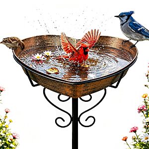 Goodeco Metal Heart Bird Bath, 2.17 Deep - $14.99 After coupon