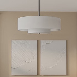 Costco: Hunter Brookside 30" Indoor Ceiling Fandelier (Fan & Light Combo), Brushed Nickel, Free Shipping, Thru 10/25 $209.99