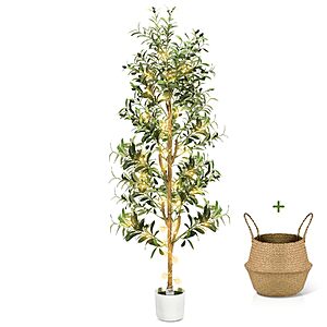 6' Artificial Olive Tree w/ LED String Lights, White Planter & Basket $53.89 & More + Free Shipping
