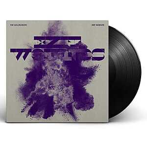 The Wallflowers - Exit Wounds - VINYL LP