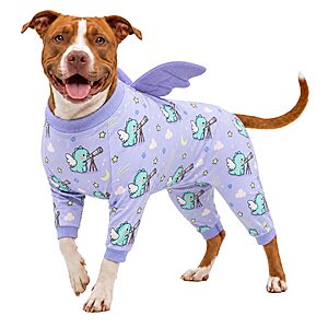 Amazon – LovinPet Blue Dino Dragon Dog Pajamas, Size M - $19.79 w/ Code