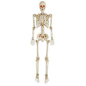 5' LED Pose-N-Stay Skeleton $14.98 + Free Store Pickup at Home Depot