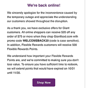 Giant Food Online Order $20 off $75